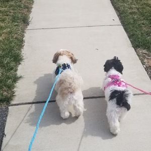 Meet your Posher, Vincent